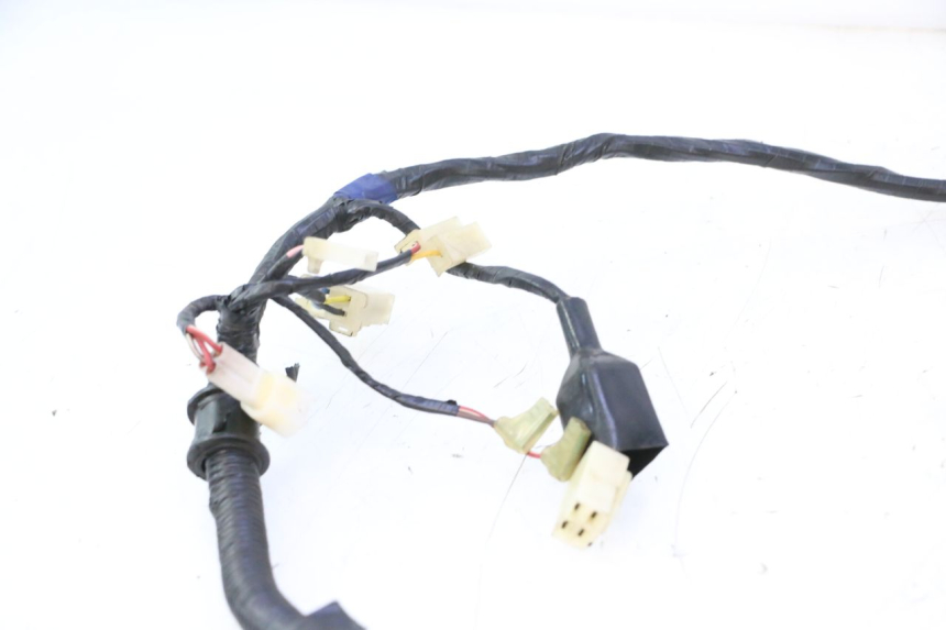 photo de WIRING HARNESS RIDE KALLIO 50 (2010 - 2019) - Distinctive features