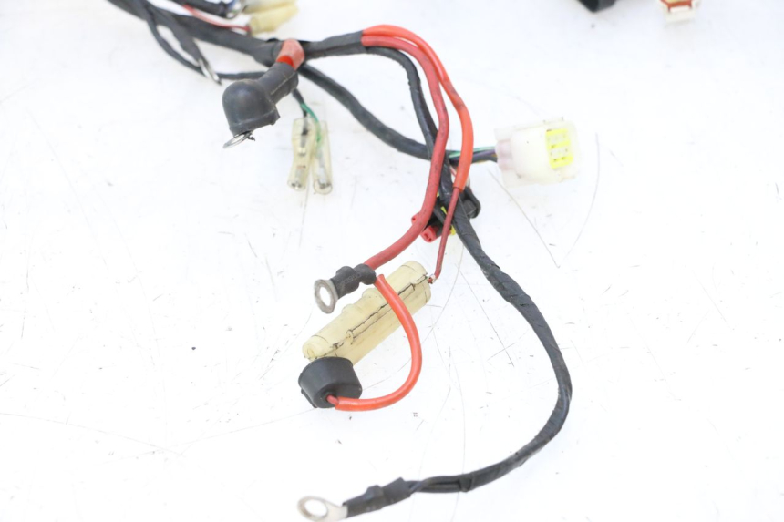 photo de WIRING HARNESS RIDE KALLIO 50 (2010 - 2019) - Technical close-up