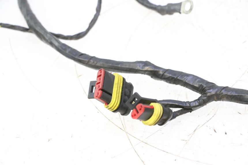 photo de WIRING HARNESS RIDE KALLIO 50 (2010 - 2019) - Product overview