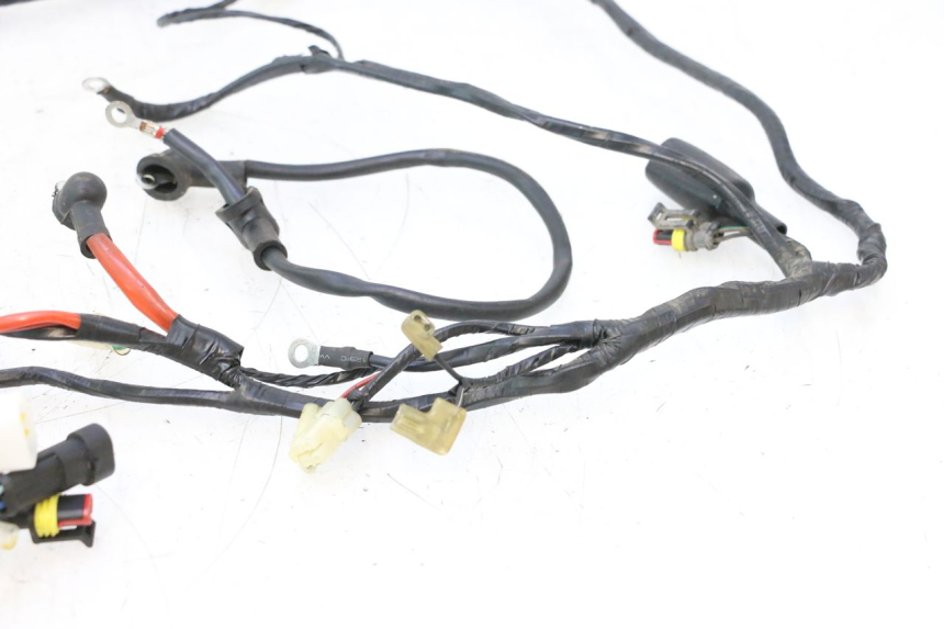 photo de WIRING HARNESS RIDE KALLIO 50 (2010 - 2019) - Checked used part