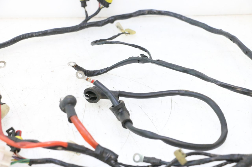 photo de WIRING HARNESS RIDE KALLIO 50 (2010 - 2019) - Markings and original references