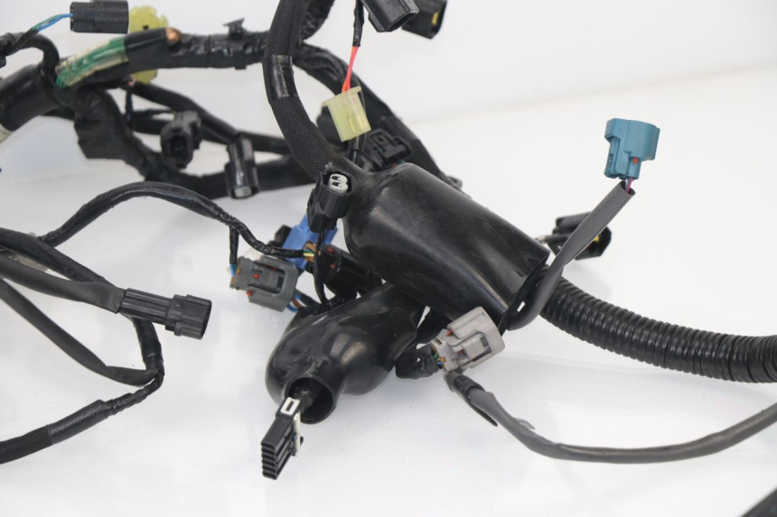 photo de WIRE HARNESS KAWASAKI Z800 Z ABS 800 (2013 - 2017) - Distinctive features