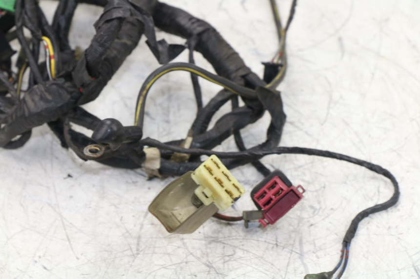 photo de WIRE HARNESS KAWASAKI ZZR 600 (1995 - 2004) - Alternative perspective