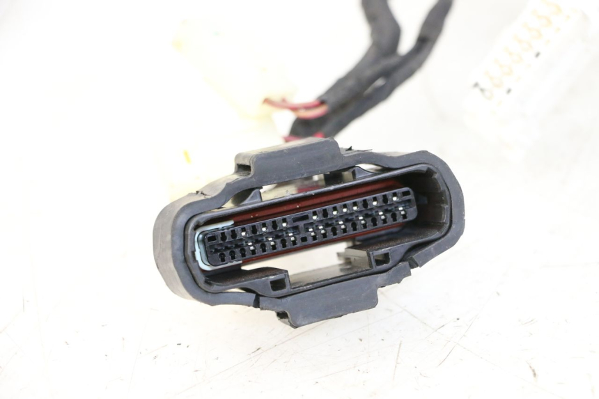 photo de WIRE HARNESS KIDEN KD125-G 125 (2018 - 2022) - Markings and original references