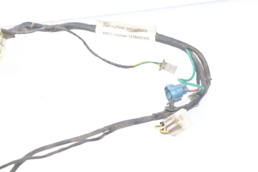 photo de WIRING HARNESS PEUGEOT KISBEE 2T 50 (2010 - 2017) - Fixing points details