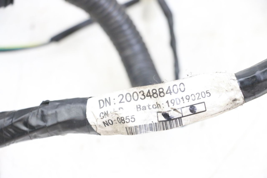 photo de WIRE HARNESS PEUGEOT KISBEE 2T 50 (2018 - 2022) - Component detail