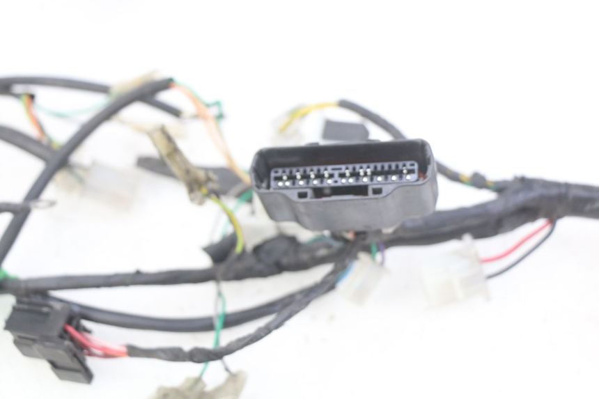photo de WIRING HARNESS PEUGEOT KISBEE 4T 50 (2018 - 2022) - Zoom on usage condition
