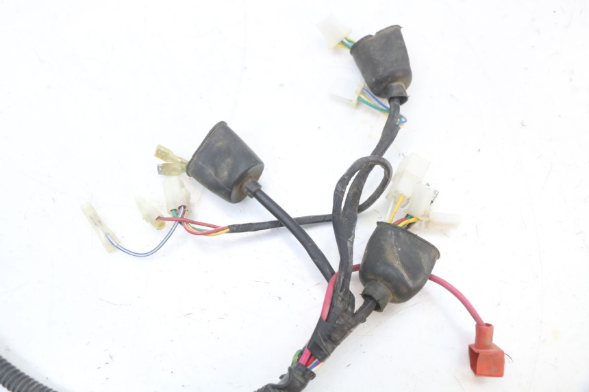 photo de WIRING HARNESS ORCAL KITE 4T 50 (2019 - 2023) - Product overview