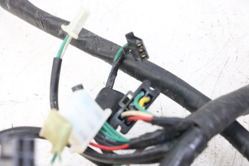 photo de WIRE HARNESS KYMCO PEOPLE S 125 (2000 - 2008) - Zoom on usage condition