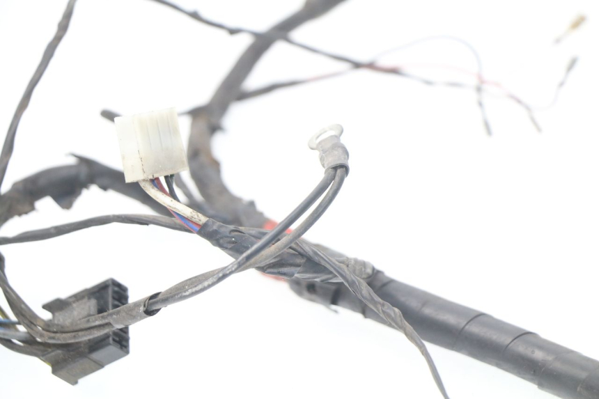 photo de WIRE HARNESS PIAGGIO LIBERTY 4T 50 (2004 - 2008) - Component zoom