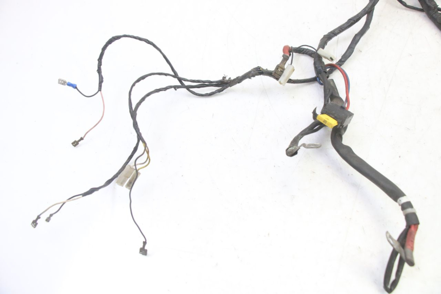photo de WIRE HARNESS PIAGGIO LIBERTY 4T 50 (2009 - 2015) - Zoom on usage condition