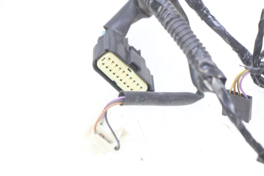 photo de WIRING HARNESS PIAGGIO LIBERTY IGET 4T 50 (2015 - 2020) - Alternative perspective