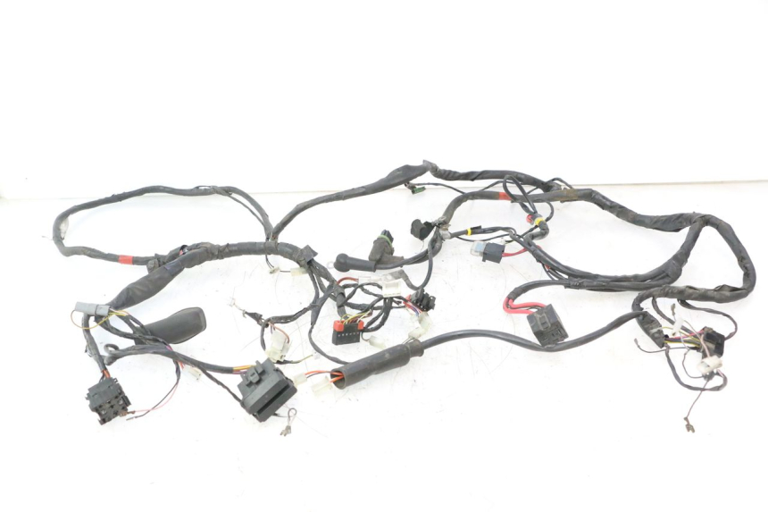photo de WIRE HARNESS PIAGGIO LIBERTY 125 (1998 - 2008) - Main view