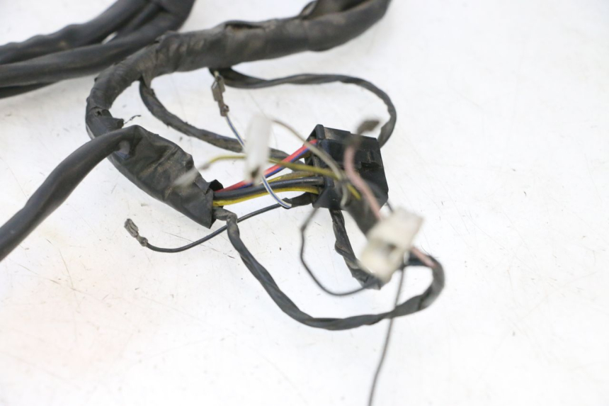 photo de WIRE HARNESS PIAGGIO LIBERTY 125 (1998 - 2008) - Component detail