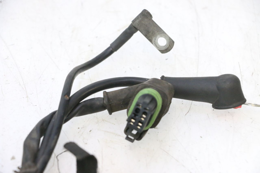 photo de WIRE HARNESS PIAGGIO LIBERTY 125 (1998 - 2008) - Distinctive features