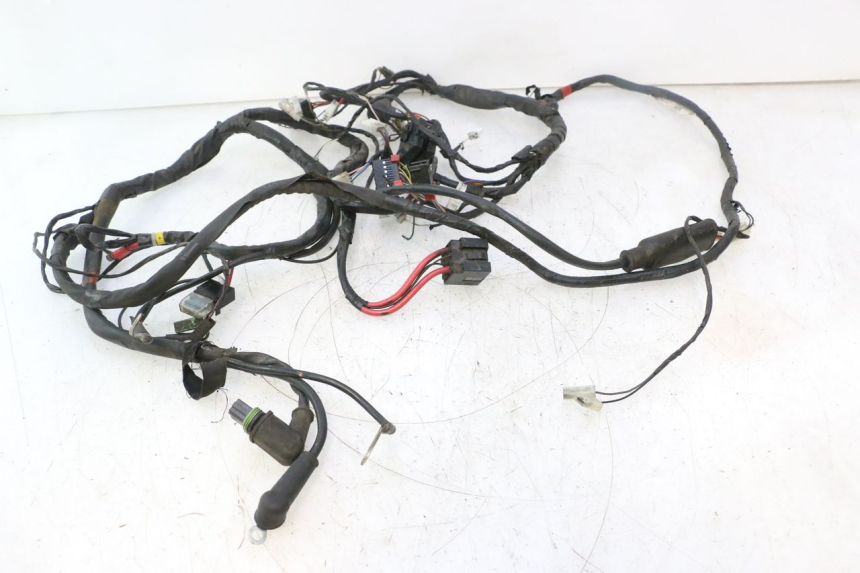 photo de WIRE HARNESS PIAGGIO LIBERTY 125 (1998 - 2008) - High-resolution close-up