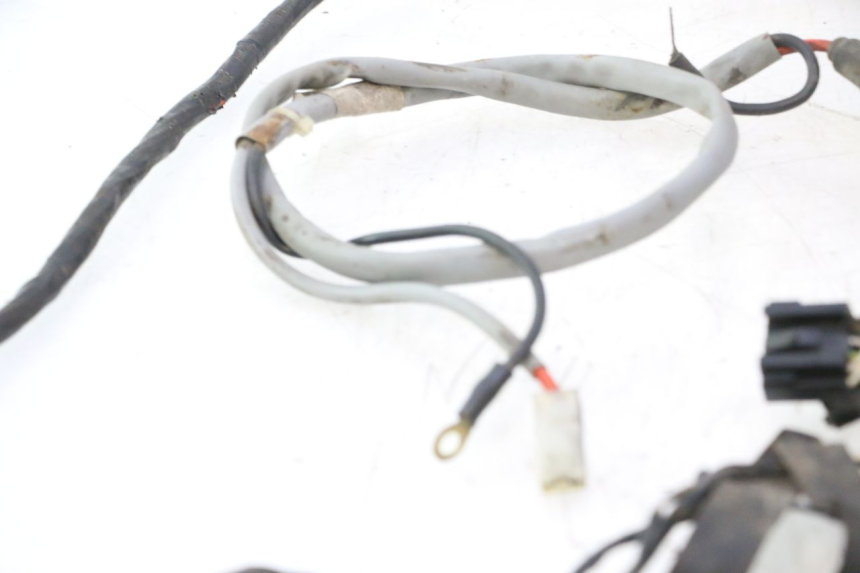 photo de WIRE HARNESS PIAGGIO LIBERTY 50 (1998 - 2003) - Distinctive features