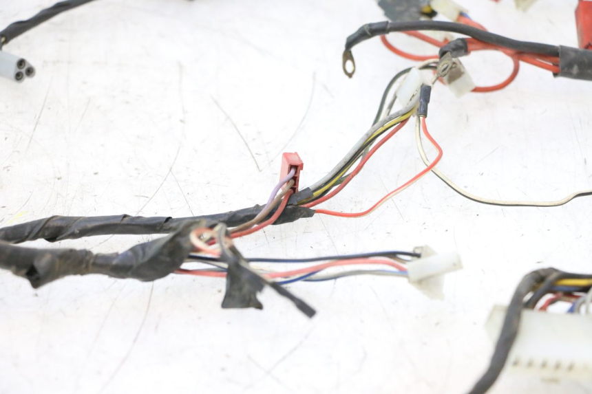 photo de WIRE HARNESS PIAGGIO LIBERTY 50 (1998 - 2003) - Detailed visual inspection