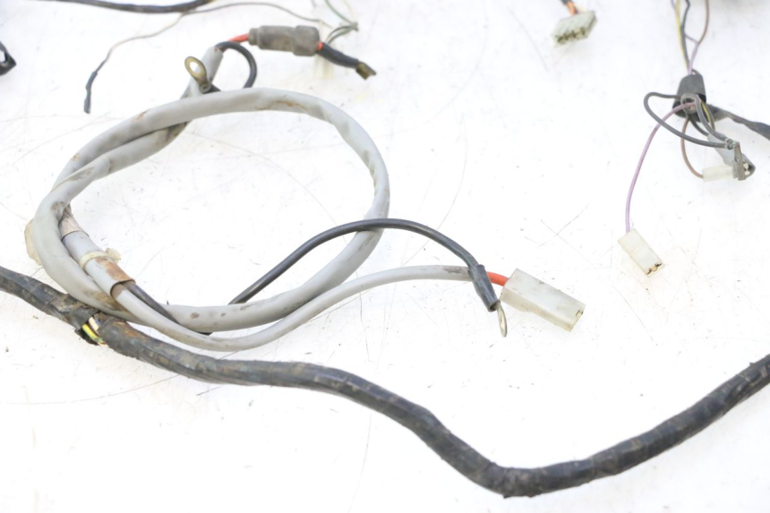 photo de WIRE HARNESS PIAGGIO LIBERTY 50 (1998 - 2003) - Fixing points details