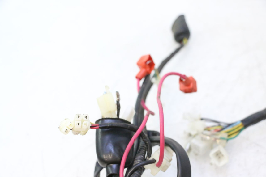 photo de WIRE HARNESS LONGJIA LJ50QT 8M 2T 50 (2010 - 2017) - Component detail