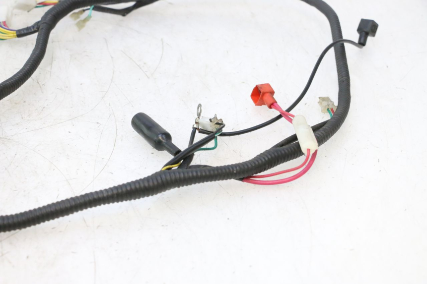 photo de WIRE HARNESS LONGJIA LJ50QT 8M 2T 50 (2010 - 2017) - Alternative perspective
