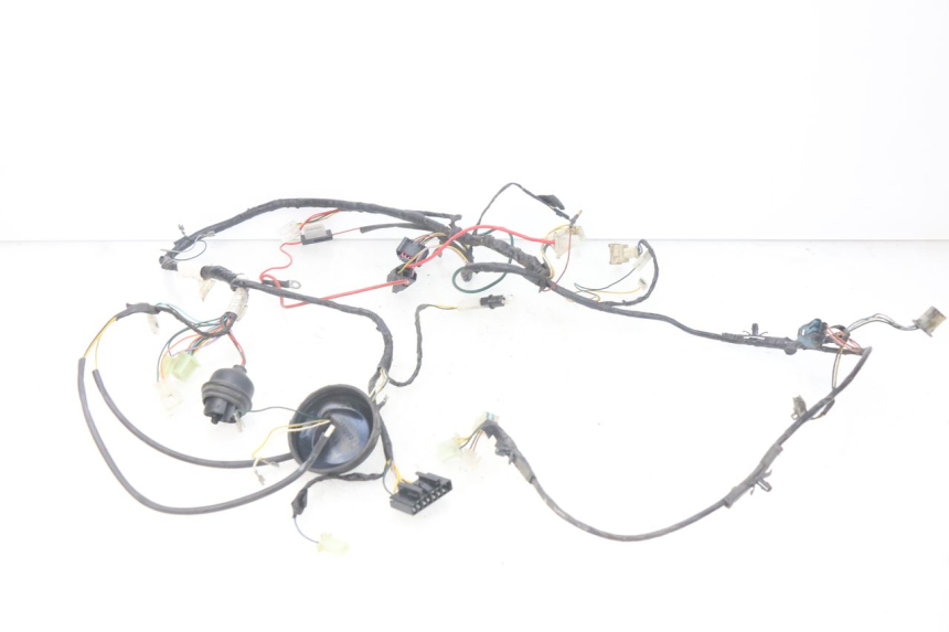 photo de WIRE HARNESS PEUGEOT LUDIX BLASTER 50 (2006 - 2014) - Product overview