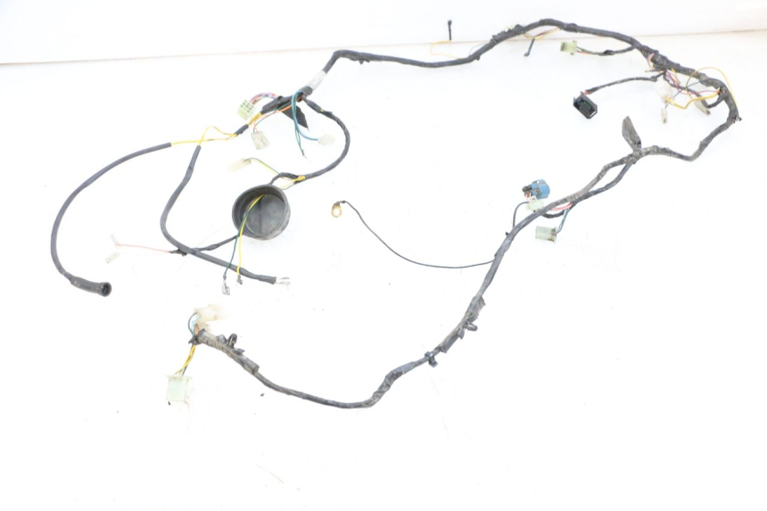 photo de WIRING HARNESS PEUGEOT LUDIX 50 (2005 - 2007) - Main view