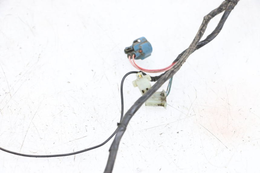 photo de WIRING HARNESS PEUGEOT LUDIX 50 (2005 - 2007) - Distinctive features