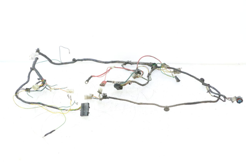 photo de WIRING HARNESS PEUGEOT LUDIX 50 (2005 - 2007) - Main view
