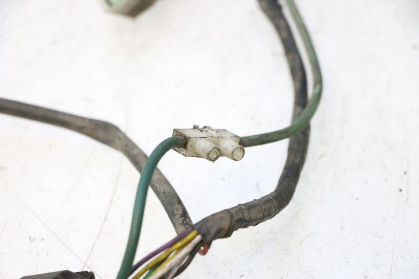 photo de WIRING HARNESS PEUGEOT LUDIX 50 (2005 - 2007) - Distinctive features