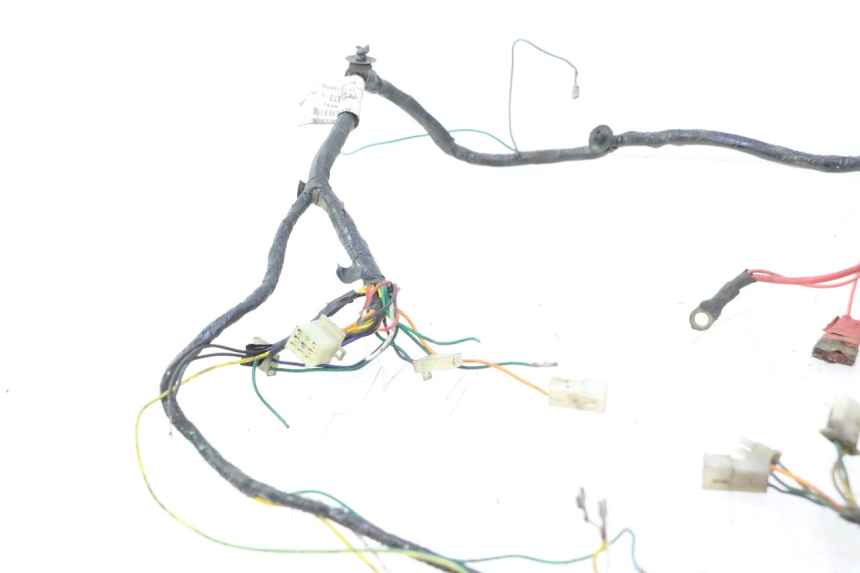 photo de WIRING HARNESS PEUGEOT LUDIX 50 (2005 - 2007) - Detailed visual inspection