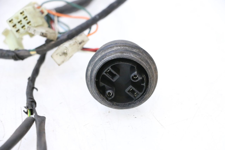 photo de WIRE HARNESS PEUGEOT LUDIX ONE 50 (2004 - 2013) - High-resolution close-up