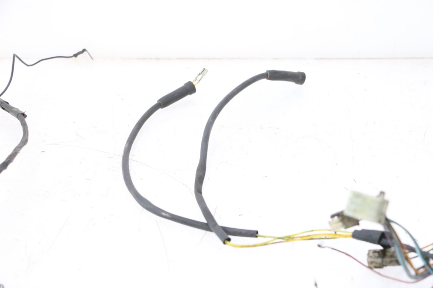 photo de WIRE HARNESS PEUGEOT LUDIX ONE 50 (2004 - 2013) - Fixing points details