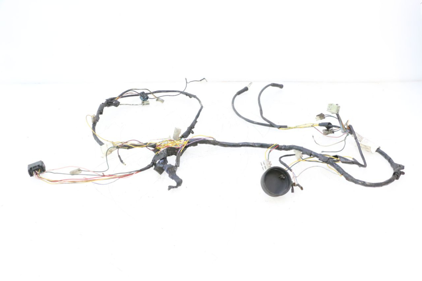 photo de WIRE HARNESS PEUGEOT LUDIX ONE 50 (2004 - 2013) - Markings and original references