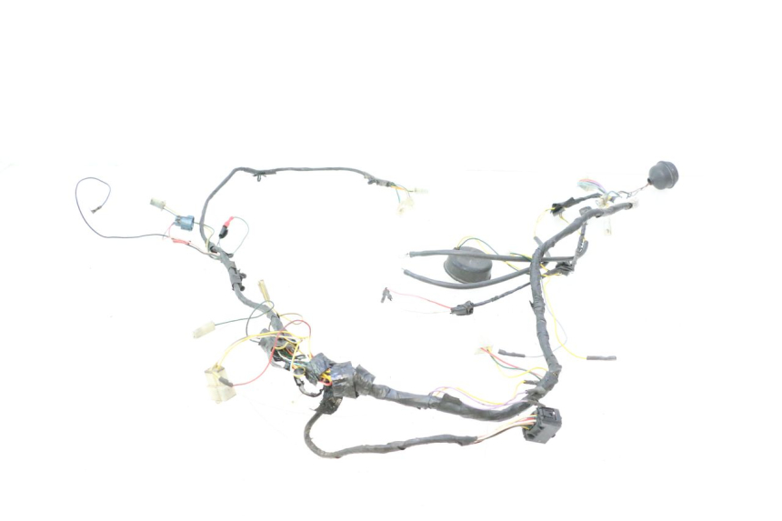 photo de WIRE HARNESS PEUGEOT LUDIX ONE 50 (2004 - 2006) - Main view
