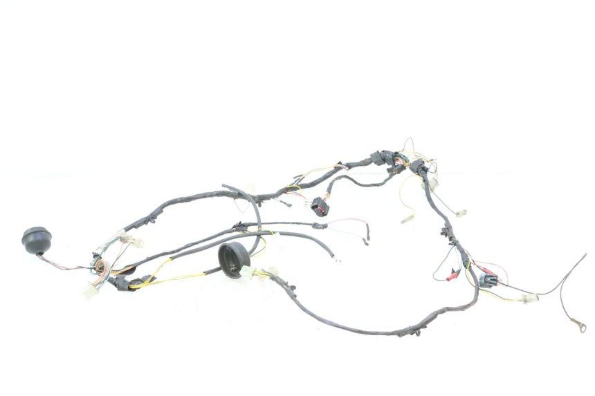 photo de WIRE HARNESS PEUGEOT LUDIX ONE 50 (2004 - 2006) - Detailed visual inspection