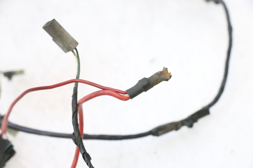 photo de WIRE HARNESS PEUGEOT LUDIX PRO 2T 50 (2010 - 2017) - Technical close-up