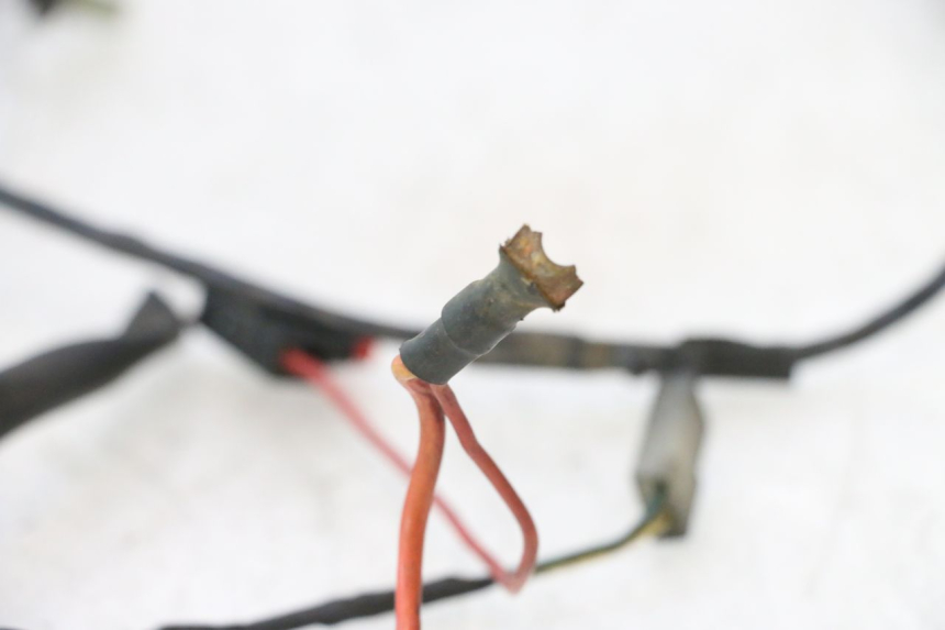 photo de WIRE HARNESS PEUGEOT LUDIX PRO 2T 50 (2010 - 2017) - Fixing points details