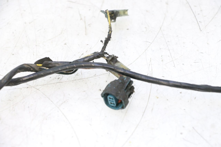 photo de WIRE HARNESS PEUGEOT LUDIX PRO 2T 50 (2010 - 2017) - Checked used part