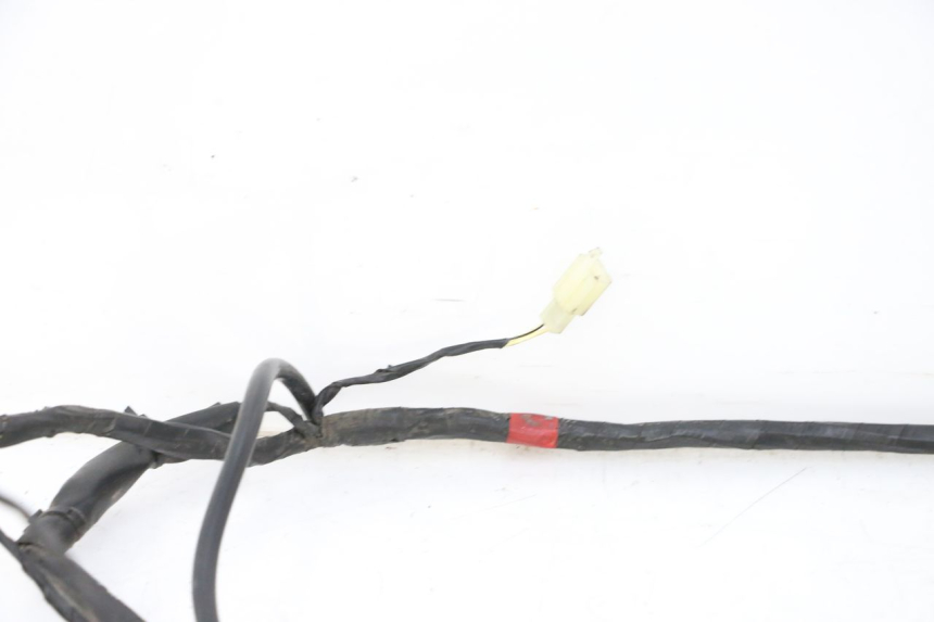 photo de WIRE HARNESS PIAGGIO LXV 4T 50 (2009 - 2013) - Distinctive features