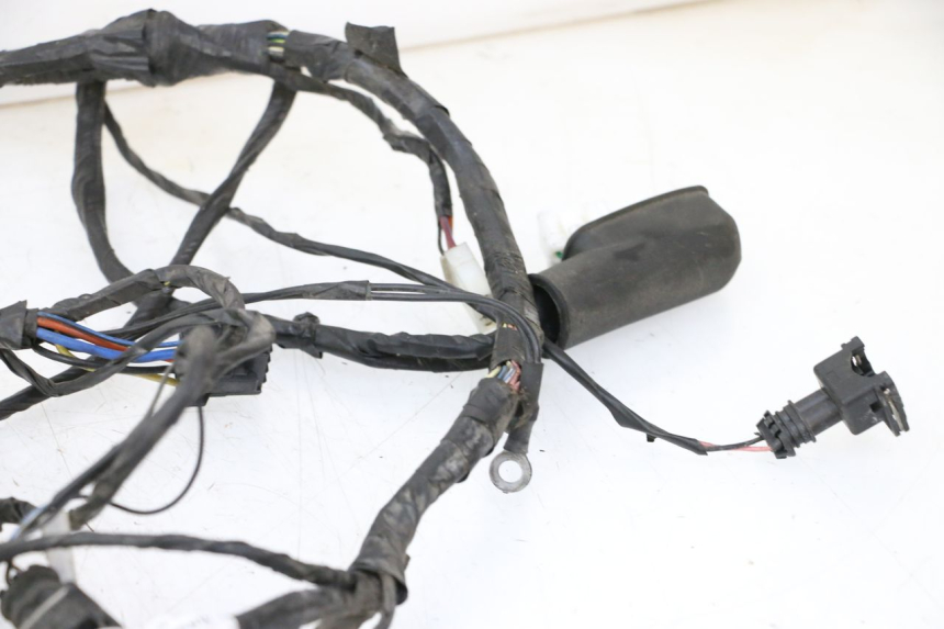 photo de WIRE HARNESS PIAGGIO LXV 4T 50 (2009 - 2013) - Detailed visual inspection