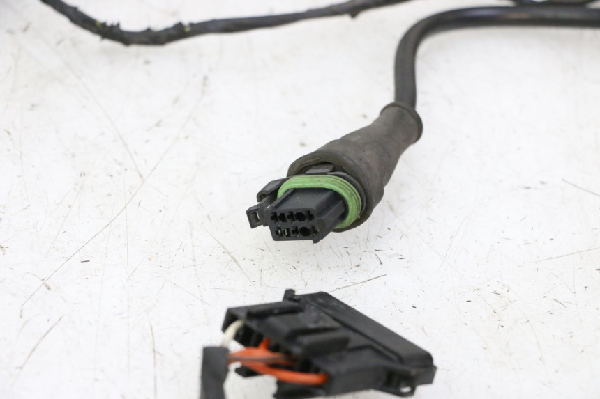 photo de WIRE HARNESS PIAGGIO LXV 4T 50 (2009 - 2013) - Technical close-up