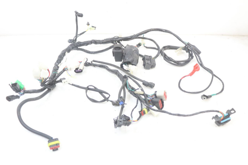 photo de WIRE HARNESS MASAI SCRAMBLER SPORT 125 (2021 - 2025) - Main view