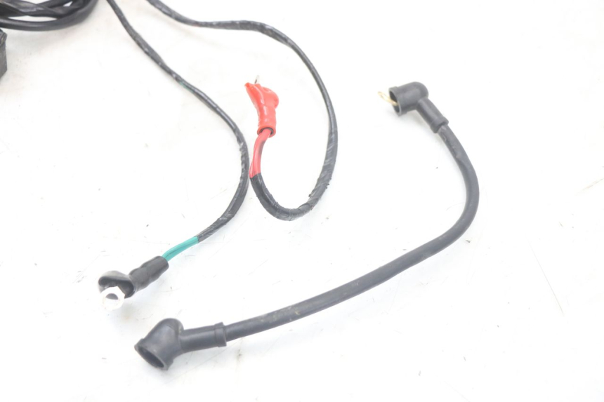 photo de WIRE HARNESS MASAI SCRAMBLER SPORT 125 (2021 - 2025) - Focus on structure