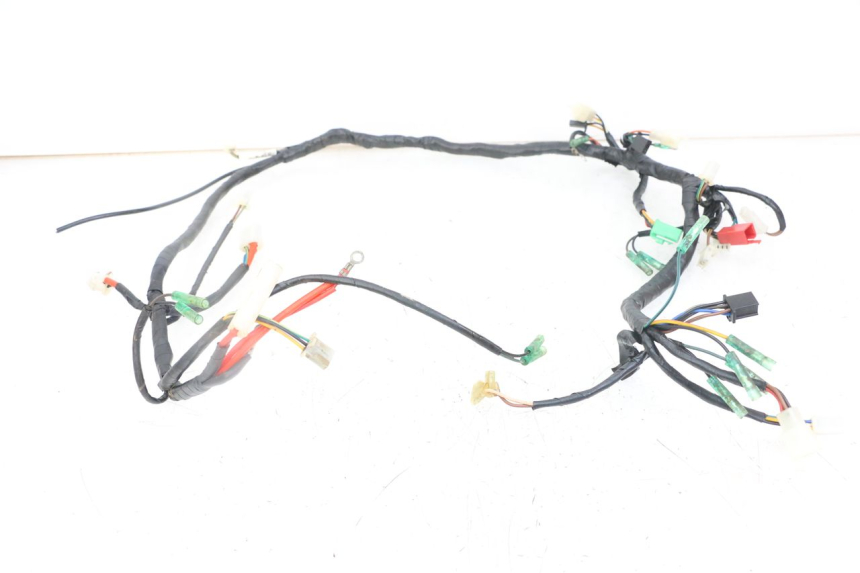 photo de WIRE HARNESS MASAI XL 50 (2012 - 2019) - Main view