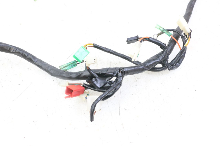 photo de WIRE HARNESS MASAI XL 50 (2012 - 2019) - Zoom on usage condition