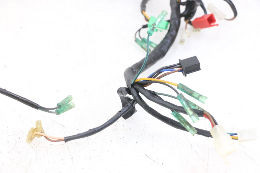 photo de WIRE HARNESS MASAI XL 50 (2012 - 2019) - Surface and material condition