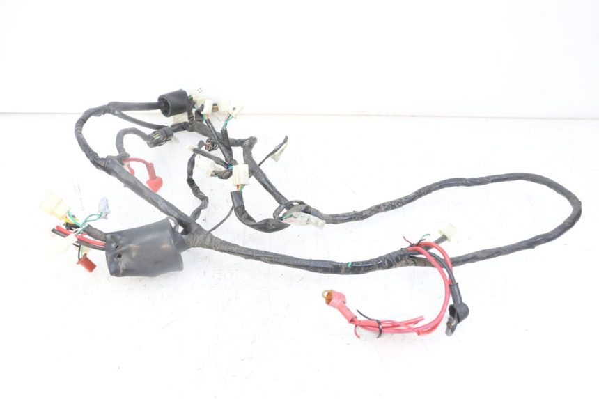photo de WIRE HARNESS MASH CITY 4T 50 (2018 - 2020) - Alternative perspective