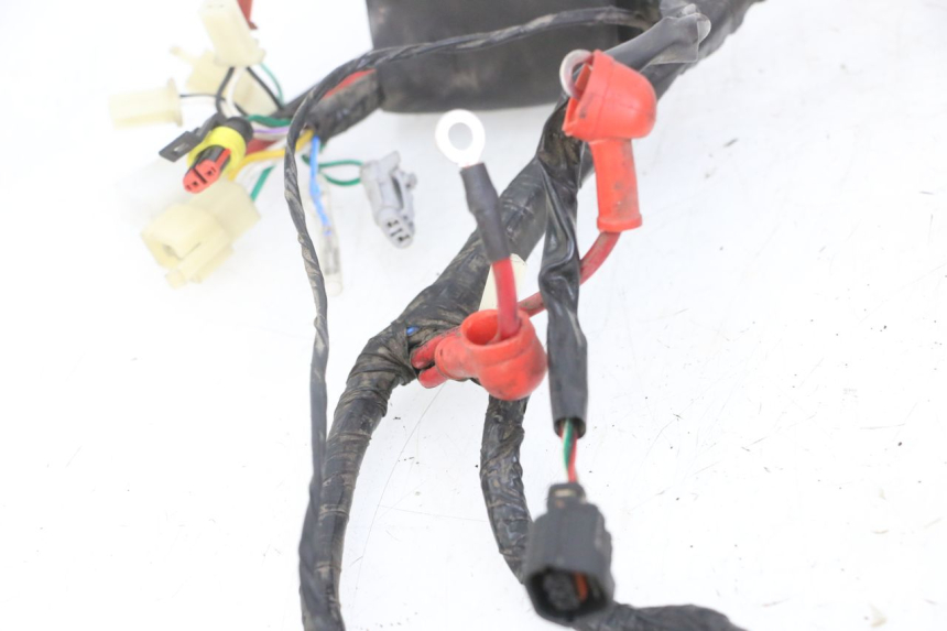 photo de WIRE HARNESS MASH CITY 4T 50 (2018 - 2020) - Checked used part