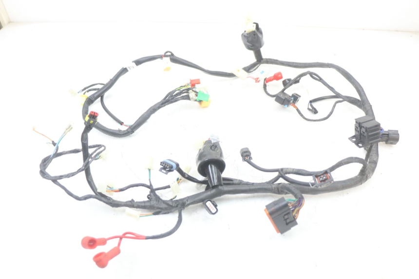 photo de WIRE HARNESS MASH LEGEND'R 4T 50 (2021 - 2025) - Main view